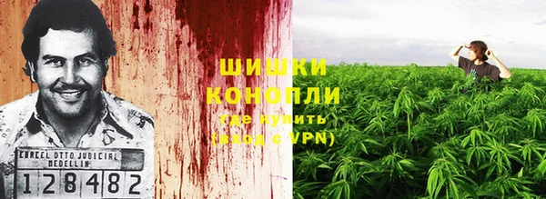 прущие крисы Нестеровская